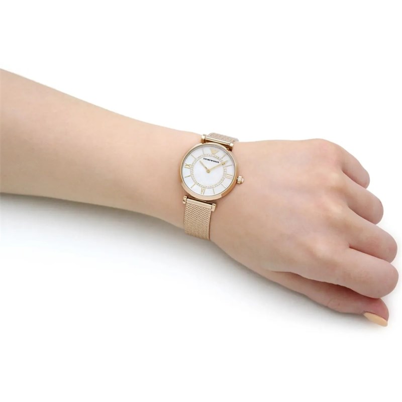 ar11321hand.jpg